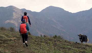 Druk Path Trek and Cultural Tour In Pristine Bhutan