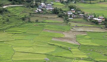 Druk Path Trek and Cultural Tour In Pristine Bhutan