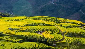 Noord-Vietnam - 7 dagen, 6 nachten-rondreis