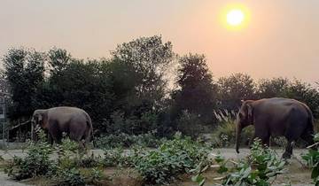 Delhi, Agra & Jaipur Adventure with Elephant & Tiger Safaris 5 Days Tour