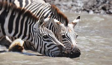 3 Days Ngorongoro Highland Trekking Tour