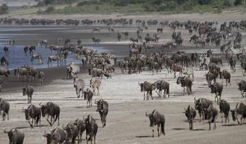 Tansania Abenteuer Safari Rundreise