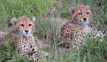 12 Days Across the Kenya Wilderness Safari Tour