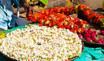 10 Day South India Temple Tour Itinerary, incl. Bangalore and Hampi