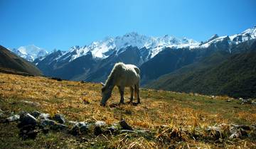 Trek dans la vallée du Langtang