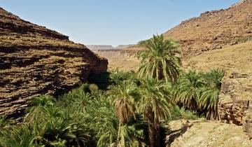 Explore Mauritania – 8 days
