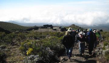 Kilimanjaro Short 4 day hike, 6 day tour Tour