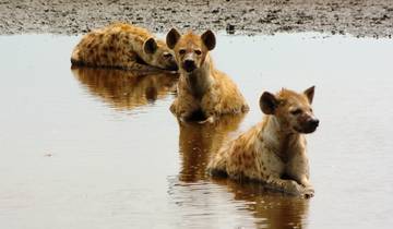 15 Day Zambia Safari Itinerary, incl. Livingstone and South Luangwa