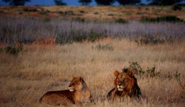 15 Day Zambia Safari Itinerary, incl. Livingstone and South Luangwa