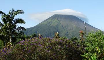 Flavors of Costa Rica Tour