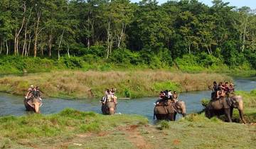 Jungle Safari In Nepal