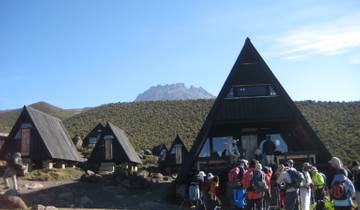 Kilimanjaro Short 2 day hike : 4 day tour Tour