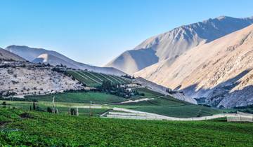 Chili : La Serena et la vallée de l'Elqui - 7 jours