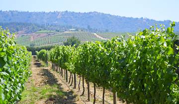 Napa Valley 2024: All You Need to Know Before You Go - Tripadvisor