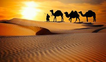 7 Days Private Tour from Agadir to Marrakech Tour
