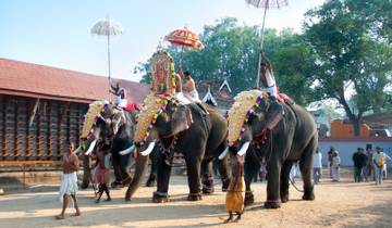 10 Day Kerala Itinerary, incl. Kochi and Munnar