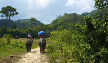 10 Day Kerala Itinerary, incl. Kochi and Munnar