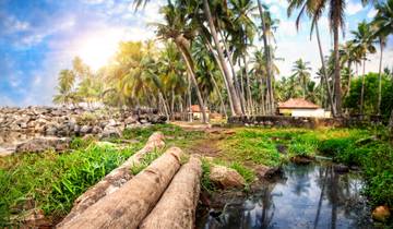 10 Day Kerala Itinerary, incl. Kochi and Munnar