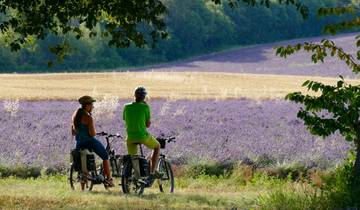 Epicurische e-fietstocht in de authentieke Provence