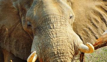 Highlights of Zambia