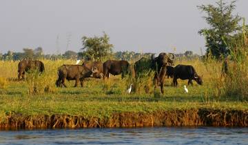 Highlights of Zambia