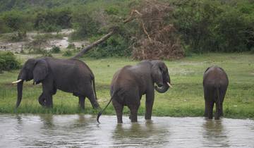 5 Days Queen Elizabeth And Lake Mburo National Park Tour