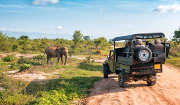 14 Day Sri Lanka Itinerary, incl. Sigiriya and Kandy