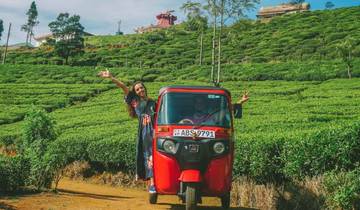 14 Day Sri Lanka Itinerary, incl. Sigiriya and Kandy