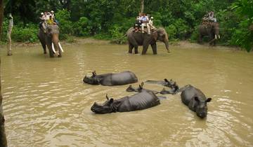 Chitwan Jungle Package Tour - 1 Nights 2 Days