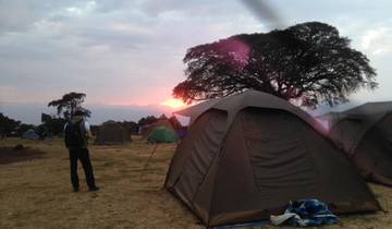 Kampeer-safari in Tanzania - 7 dagen-rondreis