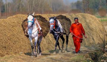 08 Days Swat Valley Cherry Blossom Tour