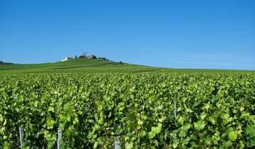 Cycling Champagne and Burgundy Tour
