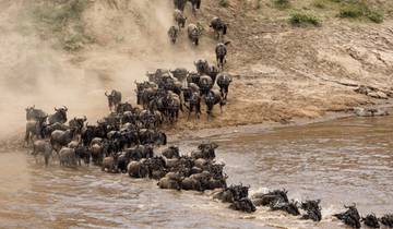 THE GREAT WILDEBEEST MIGRATION AND HOT AIR BALLOON PRIVATE SAFARI