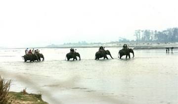 Circuito Safari por la selva de Chitwan