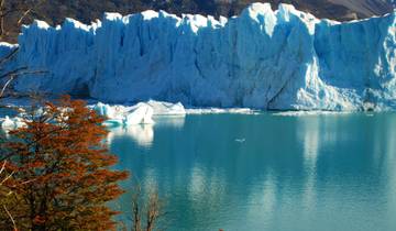 Perito Moreno Glacier and Torres del Paine W-Trek EXPRESS (7 nights)