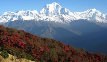 Mardi Himal Trek