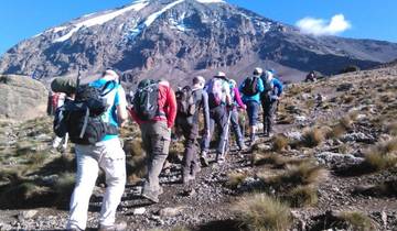 6 Tage 5 Nächte Besteigung des Kilimanjaro über die Machame Route Rundreise