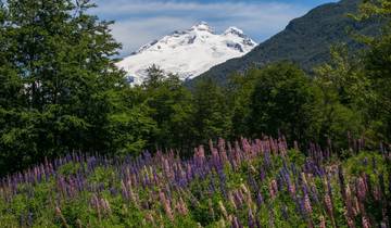 22 Day Patagonia Itinerary, incl. Buenos Aires and Ushuaia