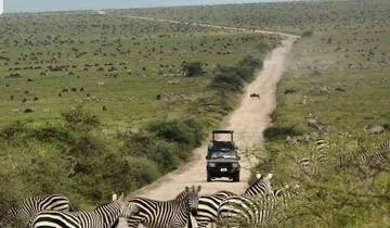 4 dagen  – Tarangire Serengeti&Ngorongorokrater-rondreis