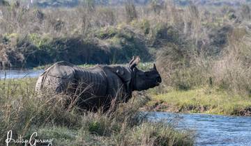 Chitwan Jungle Safari Tour Tour