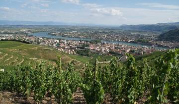 7 Day Provence River Cruise Itinerary, incl. Lyon and Avignon