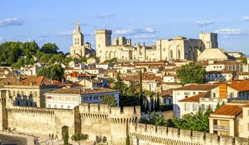 Alle bezienswaardigheden aan de Rhône tussen Lyon, de Provence & de Camargue - met optioneel diner bij Paul Bocuse - inclusief Vienne