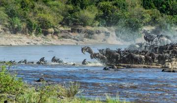 Safari zur großen Tierwanderung (westwärts, nur Mitte Juli) - 5 Tage