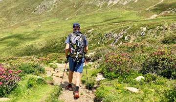 South Tyrolean Wine & Alpine Pasture Trail Tour
