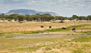 6 days great migration safari