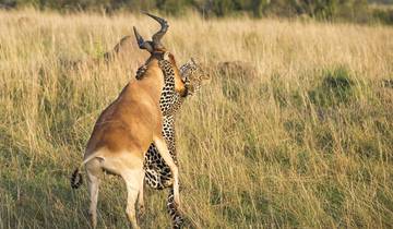 Safari zur großen Tierwanderung (südwärts, Nov.-Dez.) - 5 Tage Rundreise