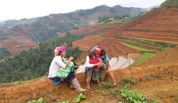 Mu Cang Chai & Sapa - 5 Dagen