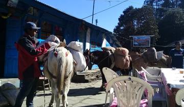 Real Nepal Experience Tour 12 Days