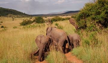 Premium 3 Days Luxury Maasai Mara Safari