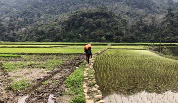 5-Day North Vietnam Adventure Tour: Ba Be Lake - Ban Gioc Waterfall - Ha Giang Loop